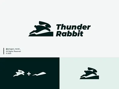 Thunder Rabbit Logo Idea For Sale active animal awesome branding combination design fast graphic design icon identity inspirations lightning logo mark organic rabbit speed symbol thunder vector