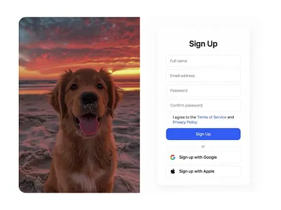 A Friendly Sign-Up Experience – Where Simplicity Meets Emotion branding chanukawasundara design dribbble figma illustration ui uiux ux xd