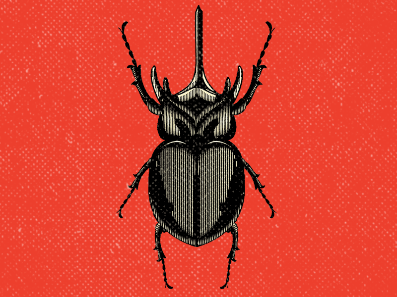 腐った bug cartoon character design graphic design illustration insect logo nightmares old retro skull vector vintage