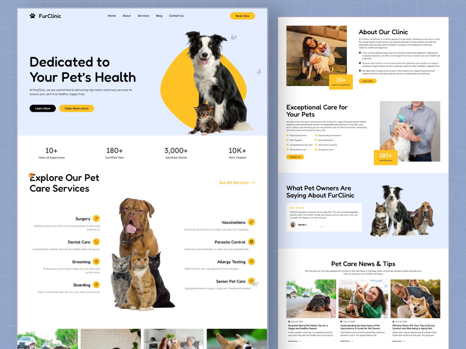 Example of Pet Care Website Design & Development