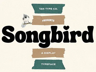 TAN - SONGBIRD DISPLAY FONT bold branding display font display type font mid century modern modern font retro retro font retro type serif tan songbird display font vintage vintage font vintage type