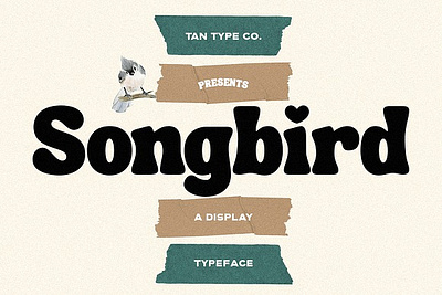 TAN - SONGBIRD DISPLAY FONT bold branding display font display type font mid century modern modern font retro retro font retro type serif tan songbird display font vintage vintage font vintage type