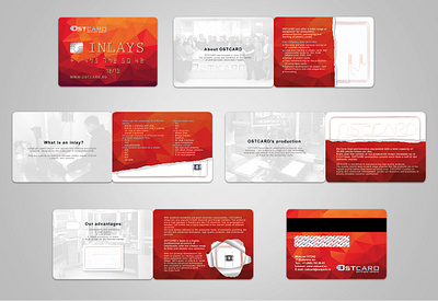 Promotional booklet booklet branding design graphic design illustration