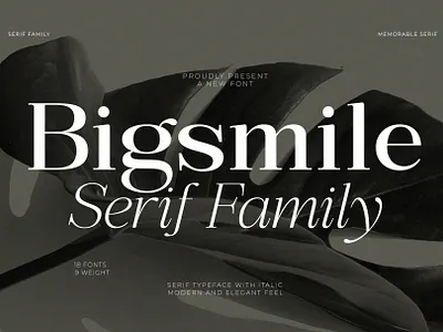 Bigsmile Serif Family branding design display font family font font fonts graphic design italic font logo luxury font magazine minimalist modern font regular serif serif font serif typeface typeface typography ui