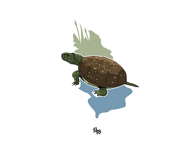 European Pond Turtle art branding design graphic graphic design illustration logo minimal ui vector