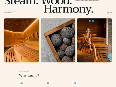 Banya - Sauna, Hammam & Thermal Baths WordPress Theme blog design illustration ui web design webdesign wordpress wordpress design wordpress theme wordpress themes