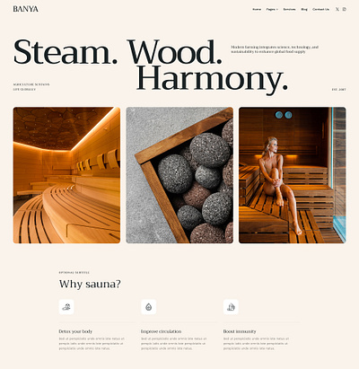Banya - Sauna, Hammam & Thermal Baths WordPress Theme blog design illustration ui web design webdesign wordpress wordpress design wordpress theme wordpress themes