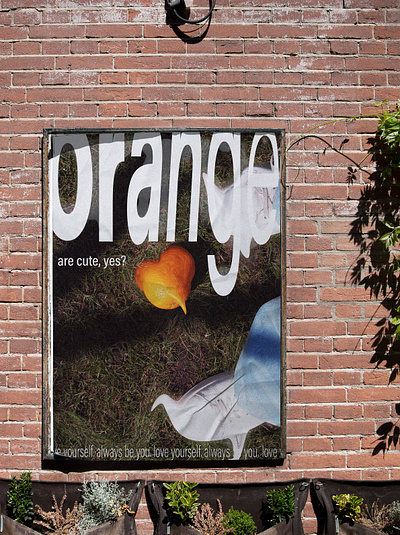 Posters branding graphic design illustration instagram poster