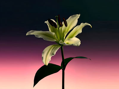 Night Bloom- 3D Render 3d 3d art 3d art work 3d design 3d fantasy decor 3d flower 3d model 3d modelling 3d render 3d rendering abstract art art work artist beautiful flower creative flower gradient gradient coloring inspire