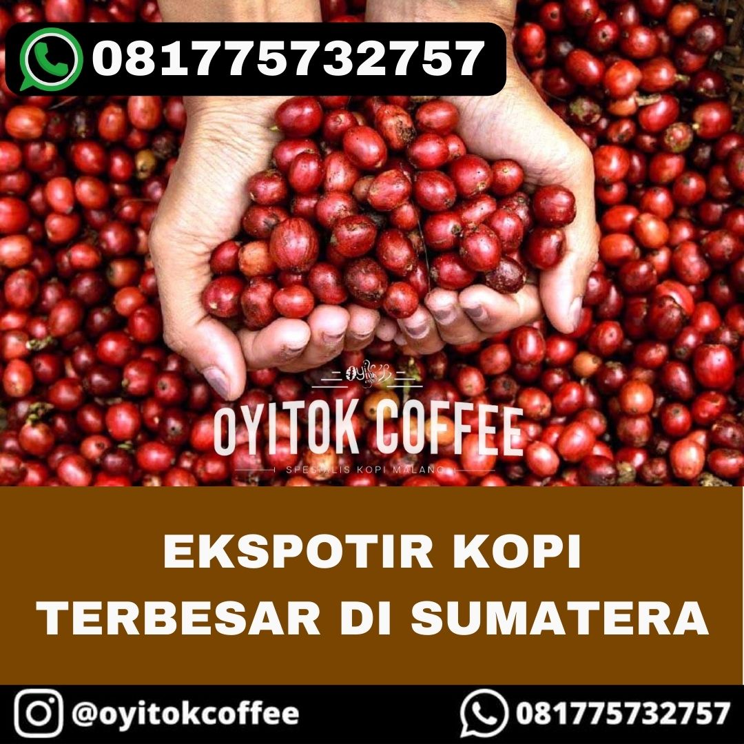 EKSPORTIR KOPI TERBESAR DI SUMATERA By Produsen Kopi On Dribbble