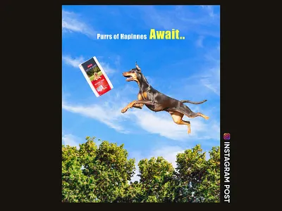 Social media post design brand design design graphic design instagram photoshop post design social media