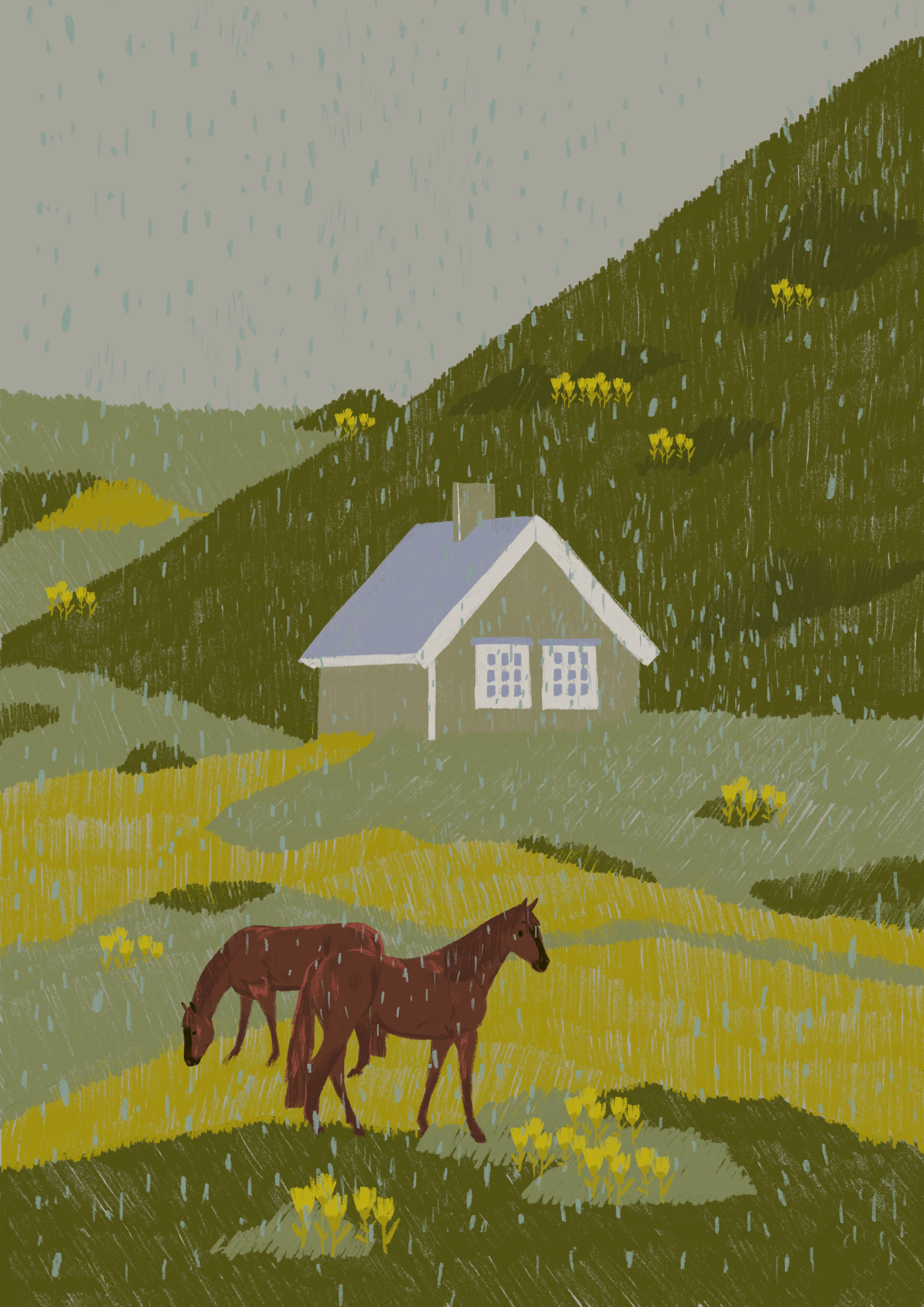 Cloudy morning cloudy digitalillustration field horses house illustration rain