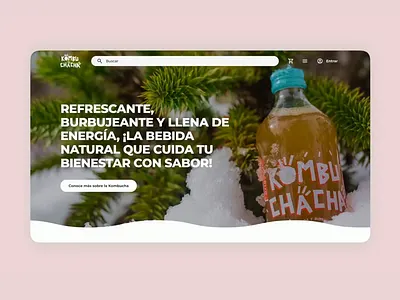 Study | Website for Kombucha Brand | UI animation design ecommerce graphic design landing page motion graphics ui