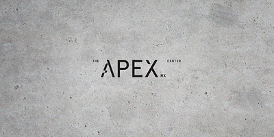 APEX Training Center branding branding identity design graphic design gym logo photography photoshoot training center visual identity