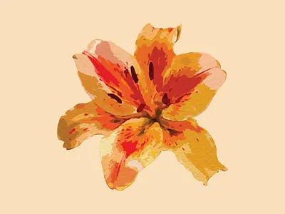 Tiger Lily Watercolor Illustration adobe branding custom decal design graphic design handpainted illustration licensed artwork logo logo design merch painting ui vector watercolor