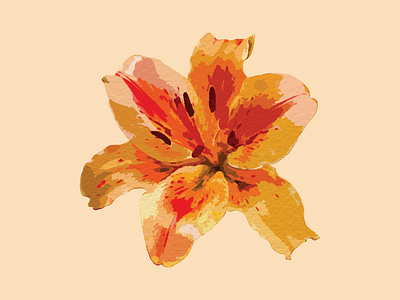 Tiger Lily Watercolor Illustration adobe branding custom decal design graphic design handpainted illustration licensed artwork logo logo design merch painting ui vector watercolor