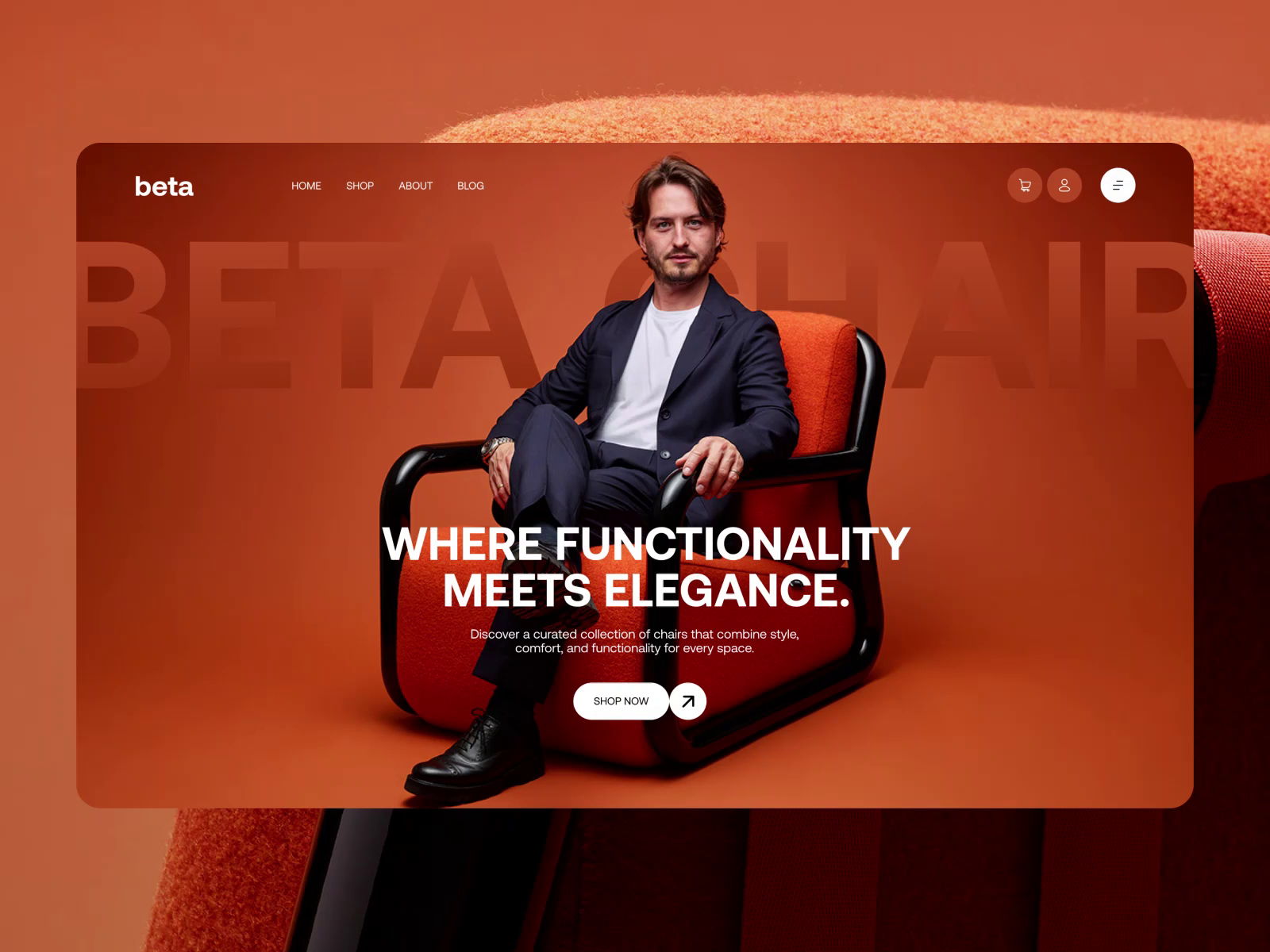 Example of Beta- Furniture E-commerce website