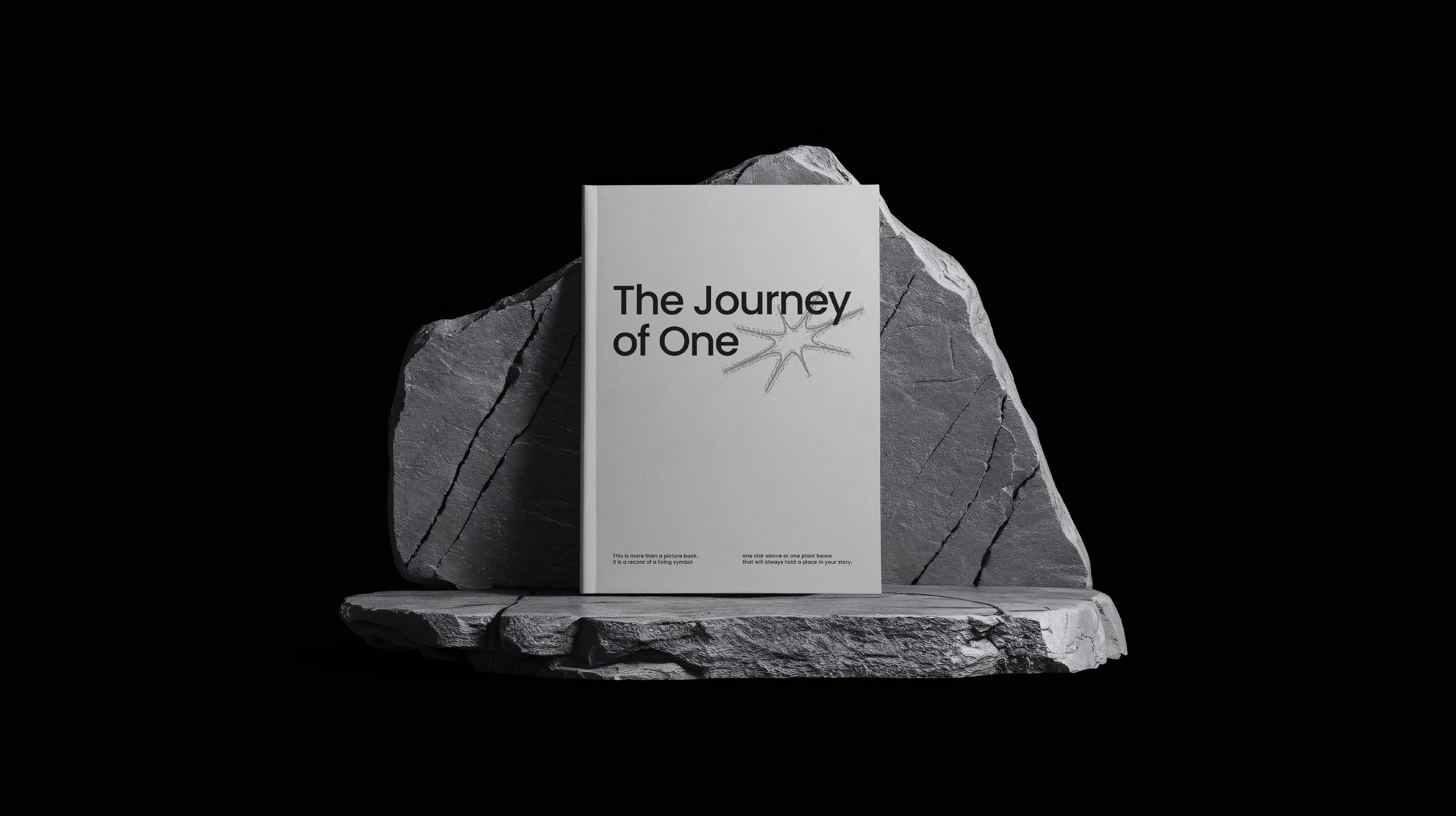 Starobit | Experience Brand | Gifting brand brandbook branding design graphic design logo minimal star