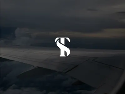 Premium Monogram Logo “TS” – Unique & Unused brand identity design custom logo luxury logo startup branding logo