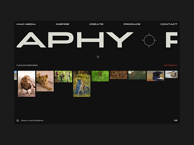 Mac Media cape town gallery graphic design horizontal scroll hover hover animation interactive website layout malvah photographer website photography scroll south africa ticker bar ui ux web design website wildlife