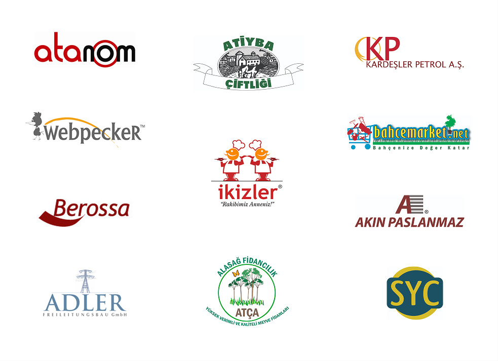 Logotype Designs branding design graphic design logo logotype vector