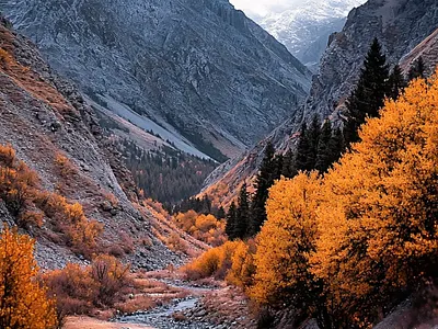 Autumn Mountain Valley 3d 3d art 3d art work 3d design 3d landscape 3d model 3d nature 3d visual autumn aesthetic inspire landscape mountain mountain valley nature trees utumn valley visual art visual artwork