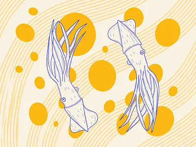 Ying & Yang Squids branding cute design flat design graphic design illustration logo mobile ocean procreate sea squid ui vector wallpaper yellow
