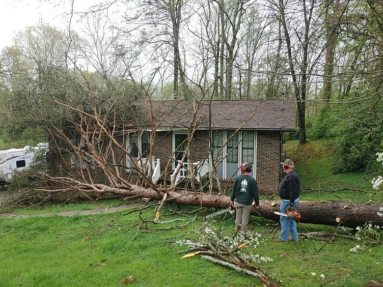 Tree Removal Knoxville TN by davestreeand stump on Dribbble