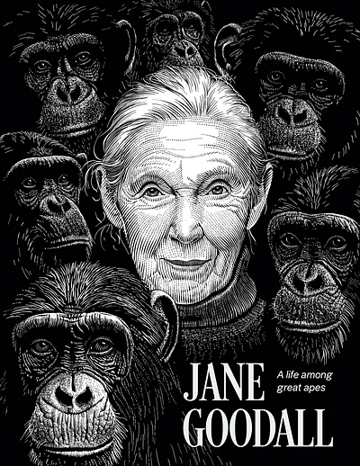 Jane Goodall Editorial Portrait | Scratchboard Illustration branding editorial engraved engraving illustration lineart linocut portrait