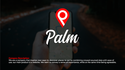 Palm | Full Branding Project branding graphic design logo