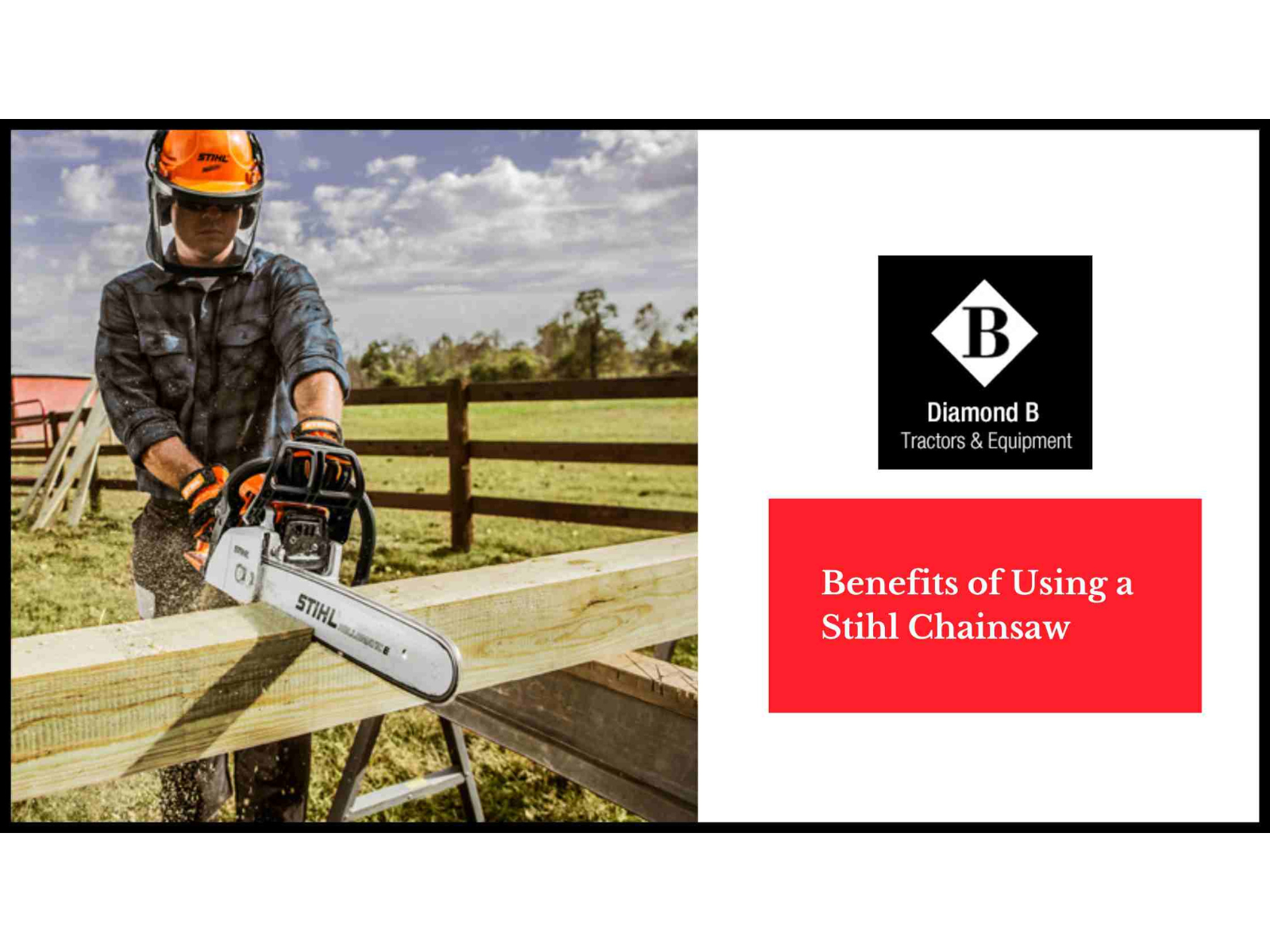 Benefits of Using a Stihl Chainsaw by Ian Lee on Dribbble