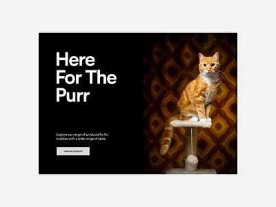 Cat E-Commerce Shop Hero Banner art direction branding cats design desktop figma graphic design interface photography ui user experience user interface ux web web design webdesign website