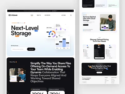Stesaas - Cloud SaaS Website startup