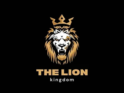 Professional Logo design dribbble design graphic design