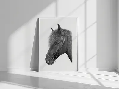 Pencil Drawing | Horse