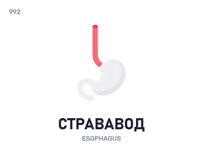 Стрававóд / Esophagus belarus belarusian language daily flat icon illustration vector