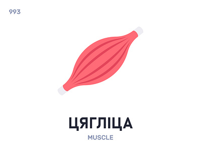 Цяглíца / Muscle belarus belarusian language daily flat icon illustration vector