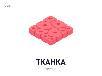 Ткáнка / Tissue belarus belarusian language daily flat icon illustration vector
