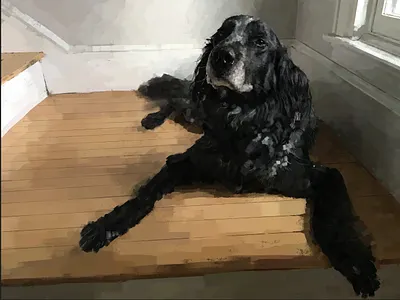 Puck cocker spaniel digital art digital painting dog illustration pet portrait procreate