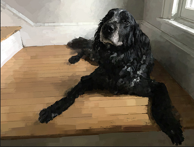 Puck cocker spaniel digital art digital painting dog illustration pet portrait procreate