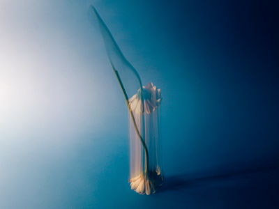 Abstract 3D Floral Render 3d 3d abstract art 3d art 3d design 3d flower 3d render 3d visual abstract art aesthetic beautiful design blue clean design floral floral render flower gradient inspire inspired minimalist