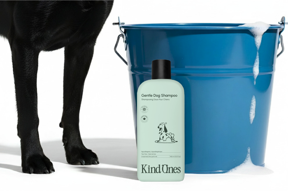 Example of Kind Ones | Packaging & Branding Design