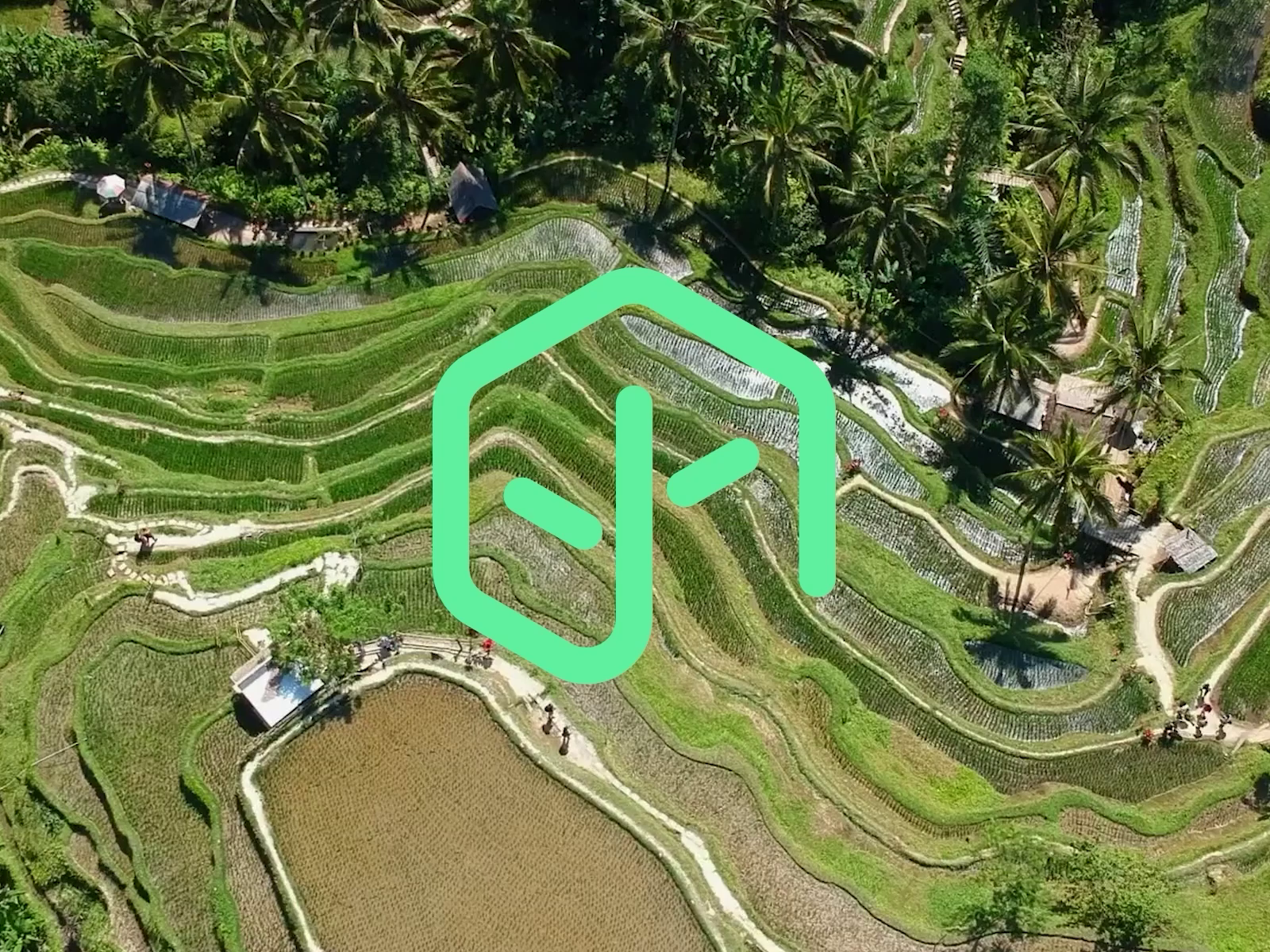 Example of Logo Design Package – Custom & Timeless