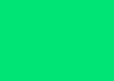 Bloom - Intro Video 3d animation branding graphic design intro logo motion graphics ux video