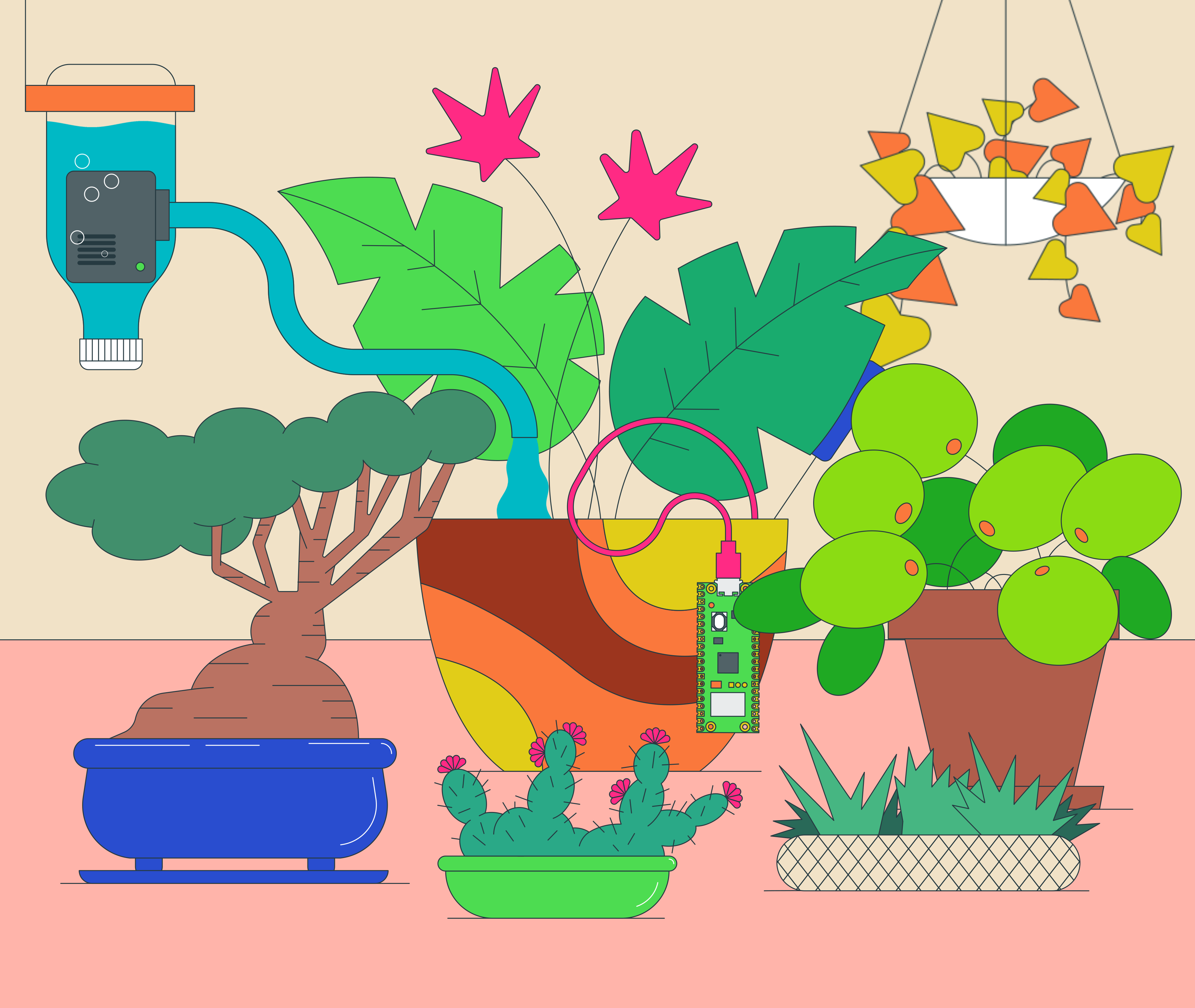 Raspberry Pi: There's a Computer for That #5 2d animation design graphic design illustration nature plants raspberry pi technology vector