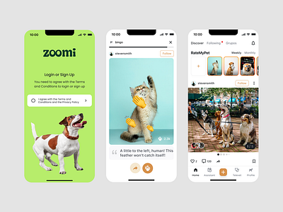 Pet Owner Social Network app b2c design designer pet product designer social media social network ui designer ux designer