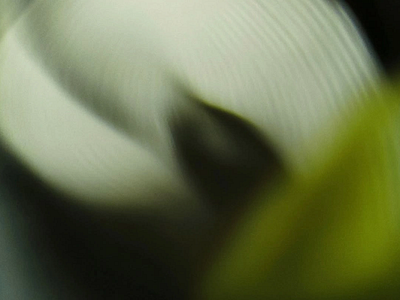 Abstract Motion Blur Illustration abstract illustration abstract movement abstract pattern artistic design blurred design color texture contemporary illustration design aesthetic digital artwork fluid form gradient tones graphic element minimal abstract modern art motion blur organic flow visual depth visual experiment