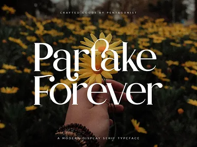 Partake Modern Serif Font bold branding classic classy design fashion font illustration modern partake modern serif font retro serif stylish stylish serif trendy vintage