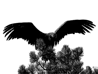 Black culture illustration animal animal illustration black and white illustration realistic