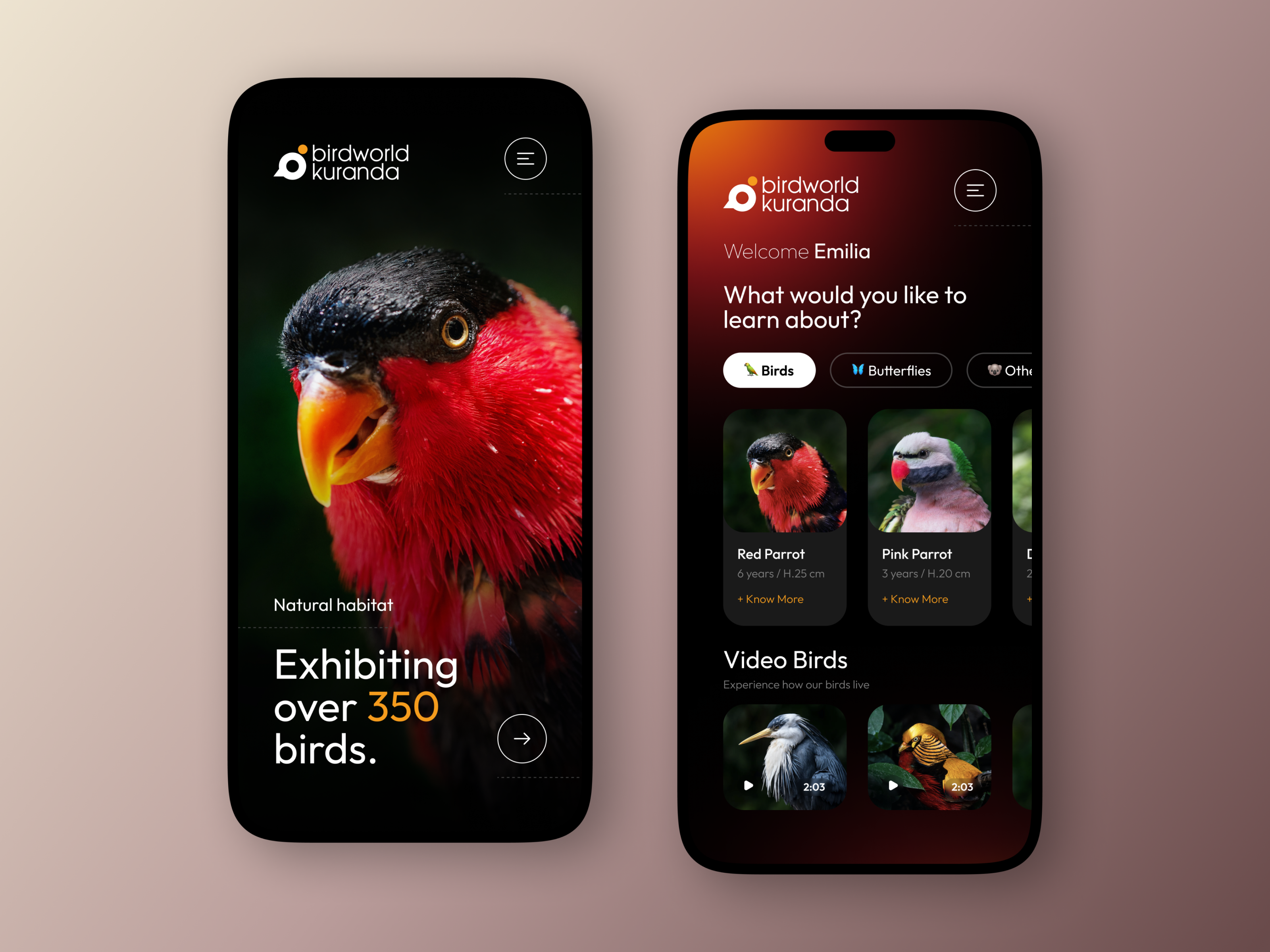 BirdWorld App 🦜 app design app mobile birds birds app innovation ios mobile nature ui design ui inspiration ui ux user interface ux design